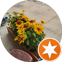 Profile photo of Lori Starnes