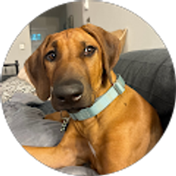 Profile photo of Brian Cooper