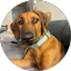 Profile photo of Brian Cooper