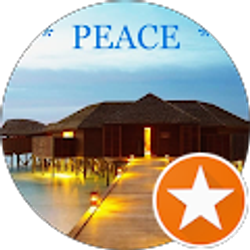 Profile photo of Nicole Miller