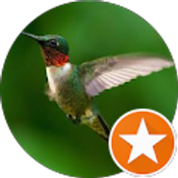 Profile photo of sai kiran