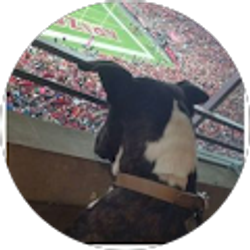 Profile photo of Fkng Ralf