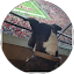 Profile photo of Fkng Ralf