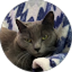 Profile photo of Beth Beck