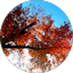 Profile photo of Courtney Powell