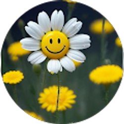 Profile photo of Tabitha