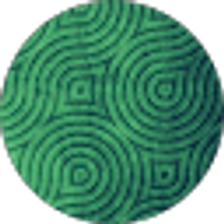Profile photo of Alanood Asiri