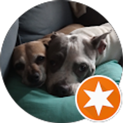 Profile photo of H W