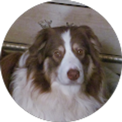 Profile photo of Joe ELLIOTT