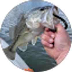 Profile photo of Lee Griffith