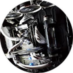 Profile photo of mitchk344