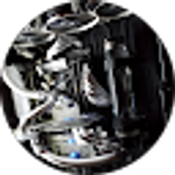 Profile photo of mitchk344