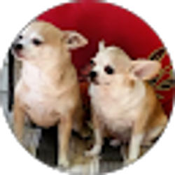 Profile photo of S. J.