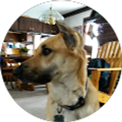 Profile photo of Dean Gathje