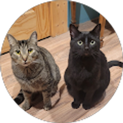 Profile photo of Lori Tinkey