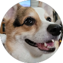 Profile photo of Debbie A