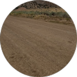 Profile photo of Sandra Barry