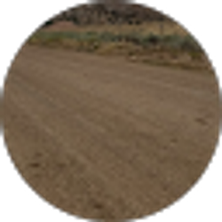 Profile photo of Sandra Barry