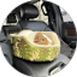 Profile photo of chris