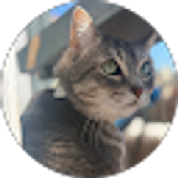 Profile photo of Karli Hencke