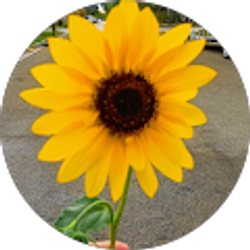 Profile photo of Jennifer Alvarez