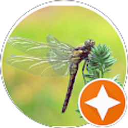 Profile photo of Rob Hebbard