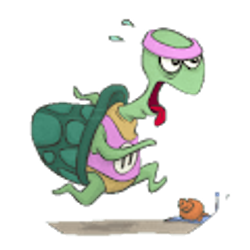 Profile photo of Miriam Milani