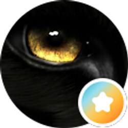 Profile photo of April McVey