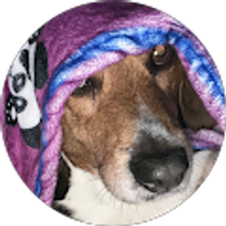 Profile photo of Abigail perrott