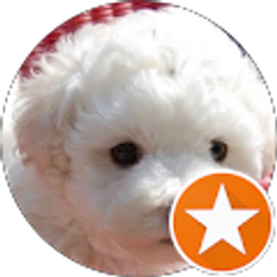 Profile photo of Virgil Leners