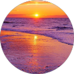 Profile photo of ROUDLIN St. VIL