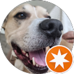 Profile photo of Antonio garcía