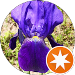 Profile photo of Marie Carpenter