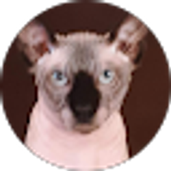 Profile photo of Michael Gibbons