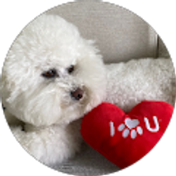 Profile photo of charlie chase