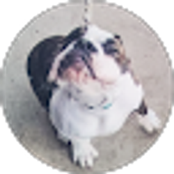 Profile photo of Hailey Stagg