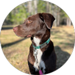 Profile photo of Alisha Moran