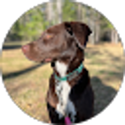Profile photo of Alisha Moran
