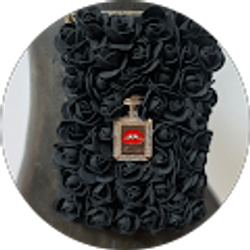 Profile photo of kim resteghini