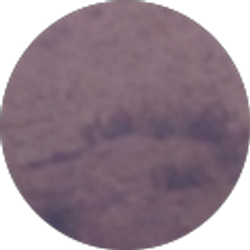 Profile photo of C K