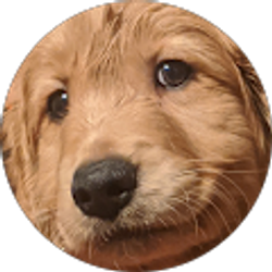 Profile photo of Zach Hommerding