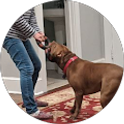 Profile photo of Clarette Yen