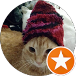 Profile photo of Debi Linck