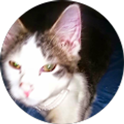 Profile photo of Debbie Scoggin