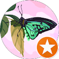 Profile photo of Teresa Brown