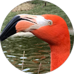 Profile photo of charlotte sizer