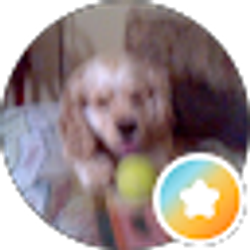 Profile photo of David Camp