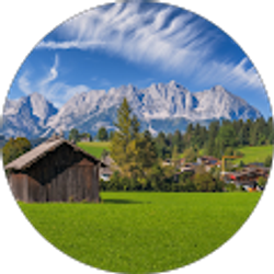 Profile photo of T N