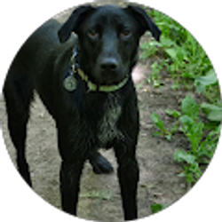 Profile photo of Erika Lamborn