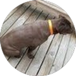 Profile photo of Adam Clary